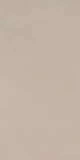 Elements Design BEIGE 60X120 R9 RT