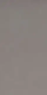 Elements Design GREY 60X120 R9 RT