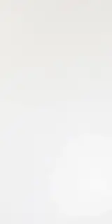 Solid White Matt 40x80