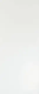 Solid White Matt 50x120