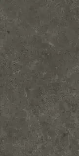 Nyra Charcoal 75x150