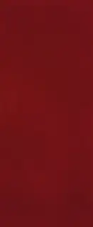 MATERIA BRILLANTE 50X120 BORGOGNA BRILLANTE