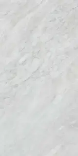 Versilia Bardiglio Silver 60X120 Lappato