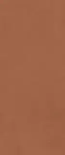 Prism Caramel 50x120