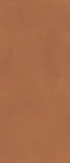 Prism Caramel 120x278