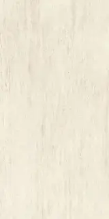 Marvel White Vein 120x240