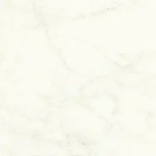 Marvel Calacatta Delicato 120x120 Matt