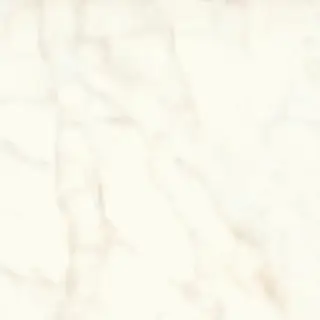 Marvel Calacatta Delicato 60x60 Lappato