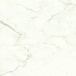 Marvel Calacatta Prestigio 120x120 Matt