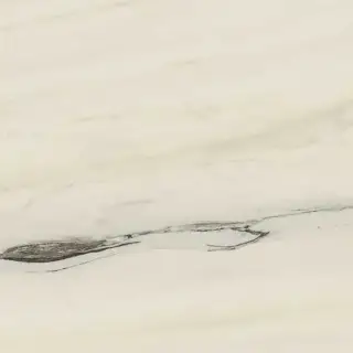 Marvel Bianco Fantastico 60x60 Lappato