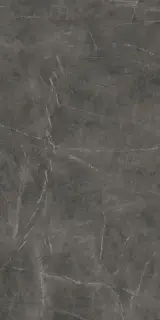 Marvel Grey Stone 120x240 Lappato