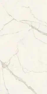 Calacatta Extra Bookmatch Polished 160x320