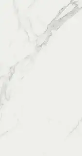 Marvel Calacatta 50x120