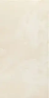 Marvel Champagne Onyx 30x60