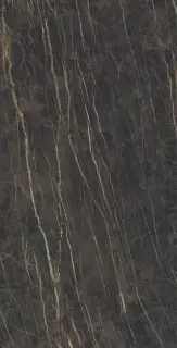 I Naturali Noir Desir Lucidato 162х324 20+