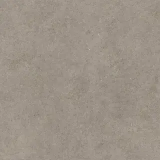 Forte Dei Marmi Rock Lunar Grey Rett 120x120