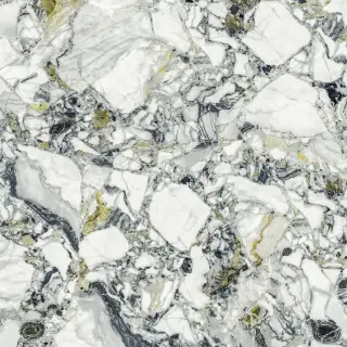 Forte Dei Marmi Quark Ceppo Apuano Forest 80x80 Lapp