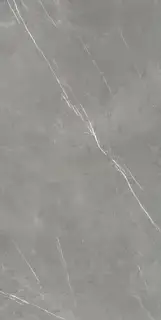 Forte Dei Marmi Elegant Grey 80x160 Lapp