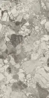 Forte Dei Marmi Ceppo Apuano Pearl 80x160 Lapp