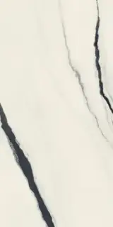 Forte Dei Marmi Panda White Rett 60x120 Cerato