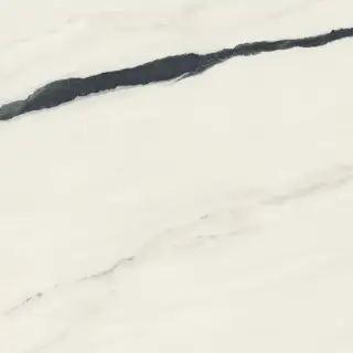 Forte Dei Marmi Panda White Rett 120x120