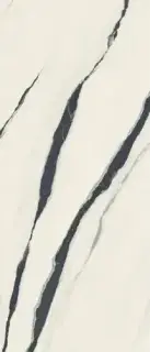 Forte Dei Marmi Panda White 120x278 Lapp