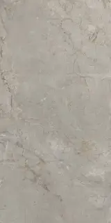 Elements Lux Silver Grey 60X120 Silk