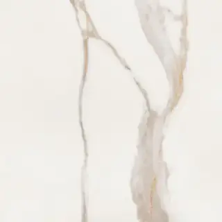 Elements Lux Calacatta Gold Silk 120X120