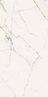 Elements Lux Calacatta Statuarietto 60X120 NAT