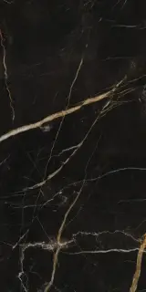 Elements Lux Port Laurent 60X120NAT