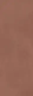 Calce Terracotta 100х300 5