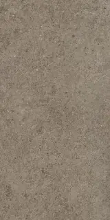 BOOST STONE Taupe 30x60