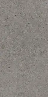 Boost Stone Smoke 60x120 20mm