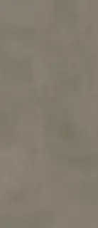 Boost Pro Taupe 120x278