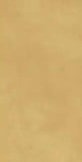 Boost Pro Mustard 40x80