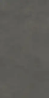 Boost Natural Coal 60x120