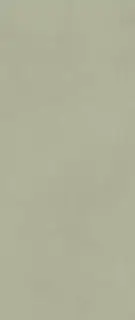 Boost Expression Olive 50x120