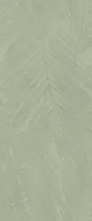 Boost Expression Life Olive