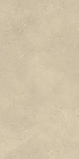 Boost Expression Tan 30x60