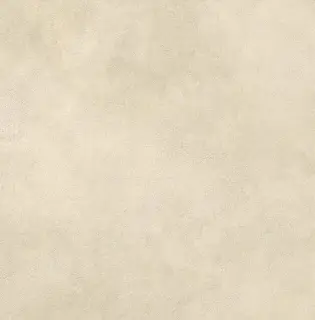 Boost Expression Camel 60x60