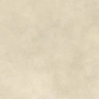 Boost Expression Camel 80x80