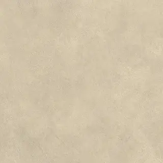 Boost Expression Tan 60x60