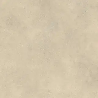 Boost Expression Tan 80x80