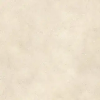 Boost Expression Shell 80x80