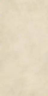 Boost Expression Camel 60x120