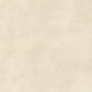 Boost Expression Shell 120x120