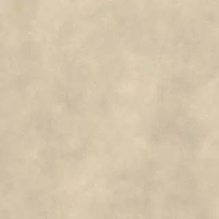 Boost Expression Tan 120x120