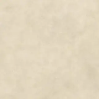 Boost Expression Camel 120x120