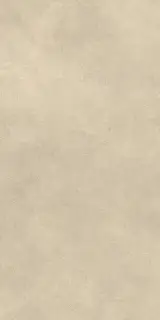 Boost Expression Tan 60x120