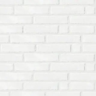 Керамогранит 1039890 White Line 8,6*35